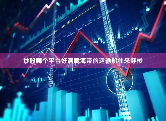 炒股哪个平台好满载海带的运输船往来穿梭