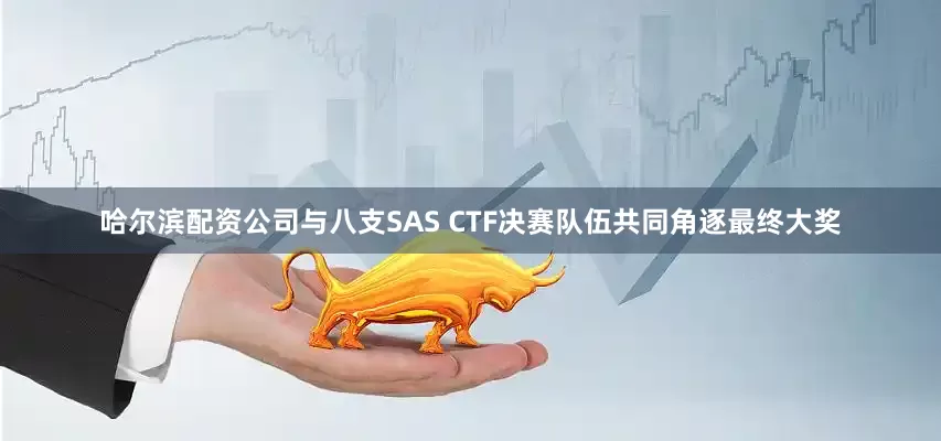 哈尔滨配资公司与八支SAS CTF决赛队伍共同角逐最终大奖