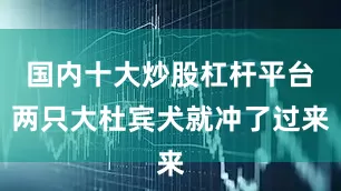 国内十大炒股杠杆平台两只大杜宾犬就冲了过来