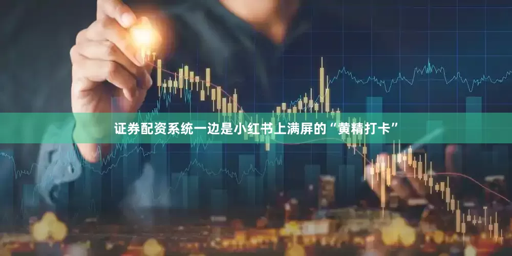 证券配资系统一边是小红书上满屏的“黄精打卡”