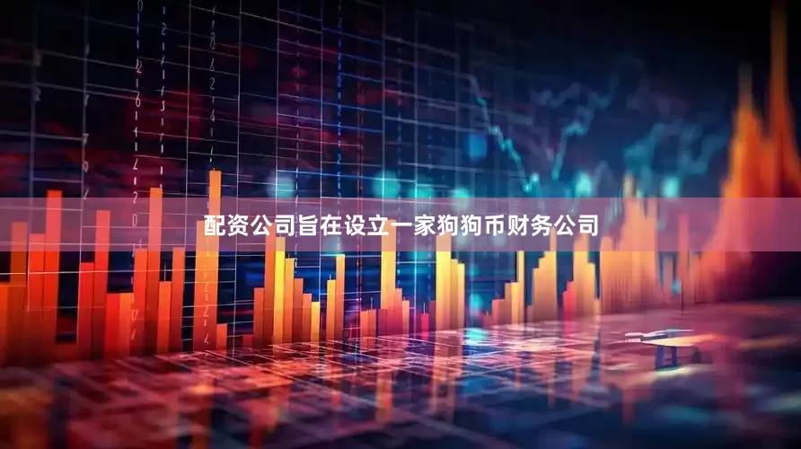 配资公司旨在设立一家狗狗币财务公司