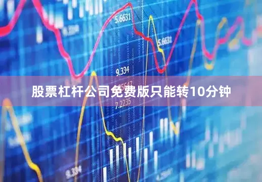 股票杠杆公司免费版只能转10分钟